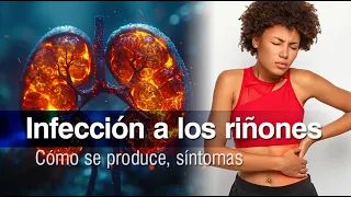 🚨 Infección a los riñones o Pielonefritis aguda: cómo se genera, síntomas y tratamiento ⚠️