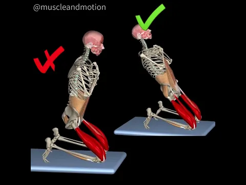 Performing the REVERSE NORDIC CURL? 🔥