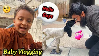 Cini Mini Zoo is live!