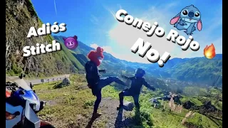 🌿 VIAJE DE LOCOS CON STITCH (Sera el fin de Stich) 🌤