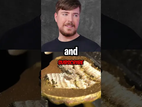 Which President Won MrBeast's Cooking Contest?