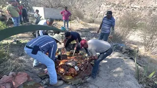Rica barbacoa de #borrego hecha el pozo estilo hidalgo #ecoalberto #ixmiquilpan