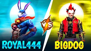 ROYAL 444 ⚡VS⚡ BIGDOG