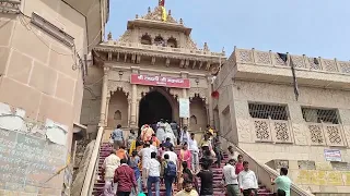 लाडली जी महाराज के बरसाना में लाइव दर्शन कीजिए। #barsana #radhakrishna #ladli #radha
