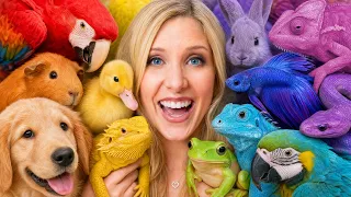 I Adopted Animals in One Color!
