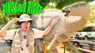 Uncover Ancient Dinosaurs And Fossils On An Exciting Dinosaur Ridge Adventure For Kids!