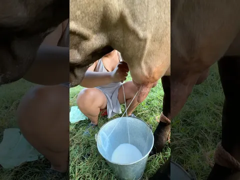 Ordeñando 🐄