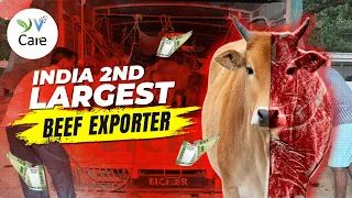 India 2nd Largest Beef Exporter |  Dairy Industry | #veganindia #veganfaq