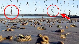 Top 10 Most Dangerous Natural Phenomena In The World Par-1 | FactEX