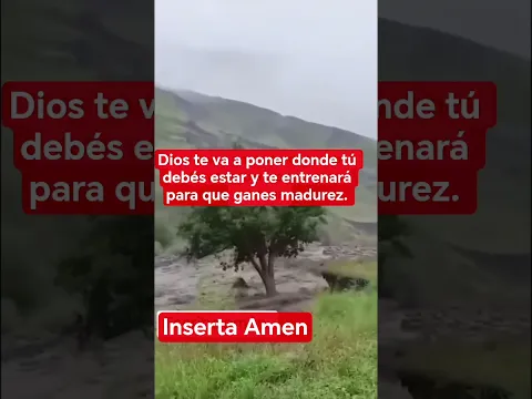 Permite que Dios guíe todos tus caminos.