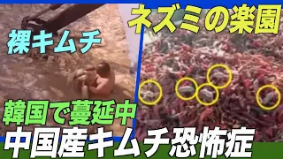 韓国で「中国産キムチ恐怖症」が蔓延　輸入量が３割減【禁聞】