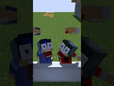 HELP Aaron and Ein choose!!! 😂😂😂 #minecraft #matthewcraft #shorts