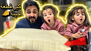 😮أكبر قطعه جبنه ⁉️والنتيجه كانت ..🤷‍♀️ رحنا ع مزرعة الأبقار 🐄