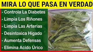 Si tienes esta PLANTA en tu HOGAR 🍂Cuídala porque tienes un Tesoro y no lo sabes