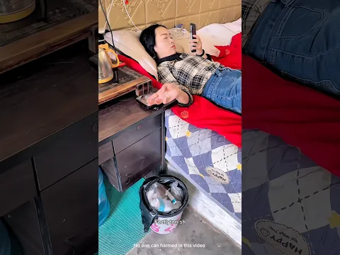 Dog Saves Sleeping Girl from Fire! 🔥🐕❤️ #shortsvideo