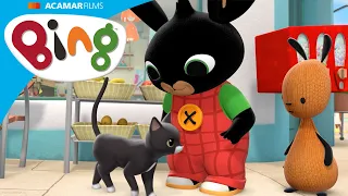 Bing menyukai Arlo si kucing! | Bing Bahasa Indonesia