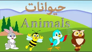 أسماء الحيوانات للأطفال | بالعربية والانجليزية | animal | learning animal