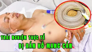 Bị Rắn Hổ Mang Cắn Truyền 10 Ống Huyết Thanh | Trải Nghiệm Khó Quên