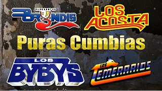 Temerarios, Bryndis, Acosta, Bybys Puras Cumbias