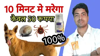 New technology || 100% tick solution in cheap. No shampoo, No power or spot on. 🔥🔥
