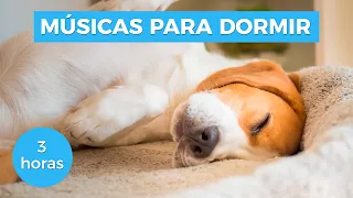 MÚSICAS PARA O CACHORRO SE ACALMAR