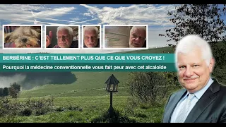 BERBÉRINE : C’EST TELLEMENT PLUS QUE CE QUE VOUS CROYEZ !
