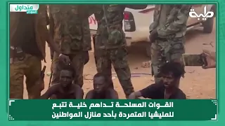القوات المسلحة تداهم خلية تتبـع للمليشيا المتمردة بأحد منازل المواطنين