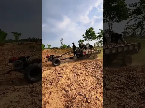 ពេញលេងទៀតហើយ  #kubota #shorts #farming