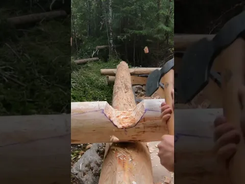 Building A Log Cabin Alone ep 3