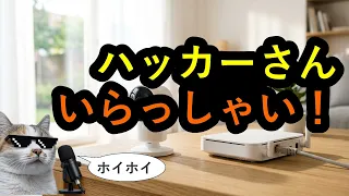 ハッカーホイホイ作ったら48時間で1万回来た