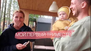 МОЙ 1 ТРИМЕСТР: Реакция Родителей На Беременность