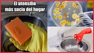 The Hidden Danger in Kitchen Sponges: How to Get Rid of Bacteria in Sponges?