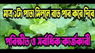 মাত্র ১টা পাতায় রাত পার করে দিন। বহুবার পরীক্ষিত। Couch Grass health benefits 1