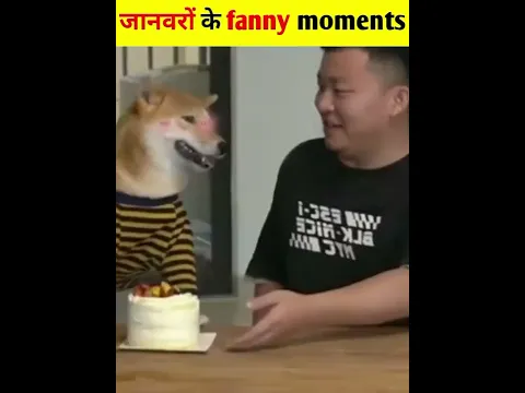 Animal funny video | #shorts #funnyvideo #dog #creativemosho