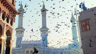 #makkah #live #madina #live #مكةالمكرمة #مباشره #مسجدالحرام #خانہ کعبہ