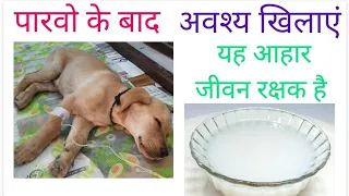 Parvo Virus Recovery Diet Plan for Puppy by Dr.SKMishra in Hindi