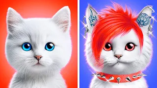 OMG! MY CAT GOT A PET TOO?! 🐭😱 Unexpected Friendship | Meow-some! Reacts