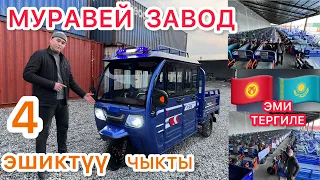 4 ЭШИКТҮҮ ~ МУРАВЕЙ чыкты 😦~ ЗАВОДКО БАРДЫК ~ Ишин Текшердик