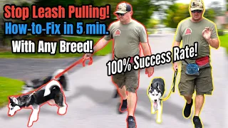 STOP Leash Pulling with ANY BREED Right NOW!