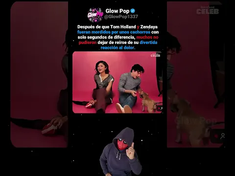 Tom Holland y Zendaya mordidos por cachorros con segundos de diferencia. 😂🐶