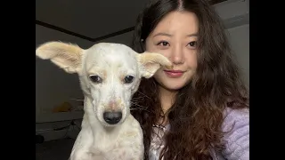 첫 라방🎄🎁 마라탕 조지고 꿀젤리 먹방