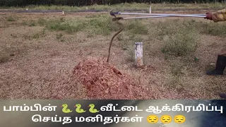 Rescued the snake from its house😡😡😡😡
