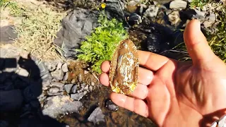 👌🍀🤯💯EN BUSQUEDA DE UN TESORO CRISTERO PARTE # 1