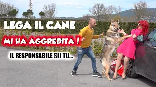 LEGA IL CANE MI HA AGGREDITA! Il responsabile sei tu...