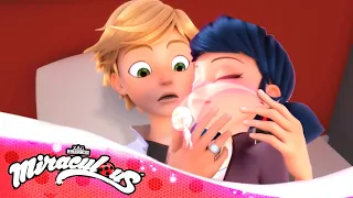 MIRACULOUS LADYBUG  #miraculous funny parody 3
