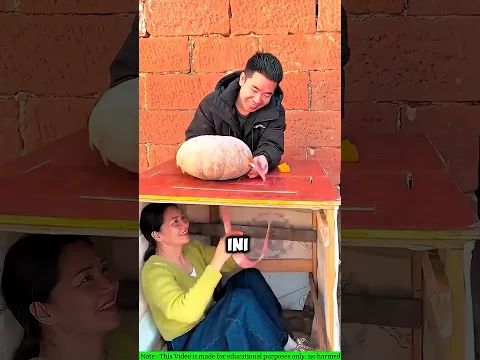bocah ini ketipu sama labu