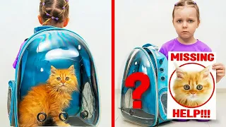 De kat is vermist! Het verloren kittentje vinden