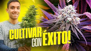 Mis 7 Claves para Cultivar en Interior y Exterior