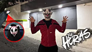 ALFA REGRESA A LA CASA DE FEDE VIGEVANI *Vimos un Alfasoldado real* | Diego Loppz