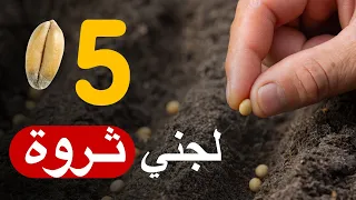 خمس بذور.. اغرسها وستجني ثروة بإذن الله تعالى